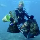 Blue Surfest: Un día para reconectar con el litoral y el océano